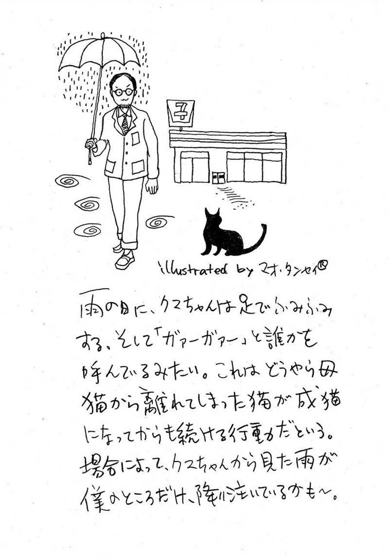 在喵咪数量超过狗狗的日本,一位旅日作家如何探寻日本文学与猫的渊源?