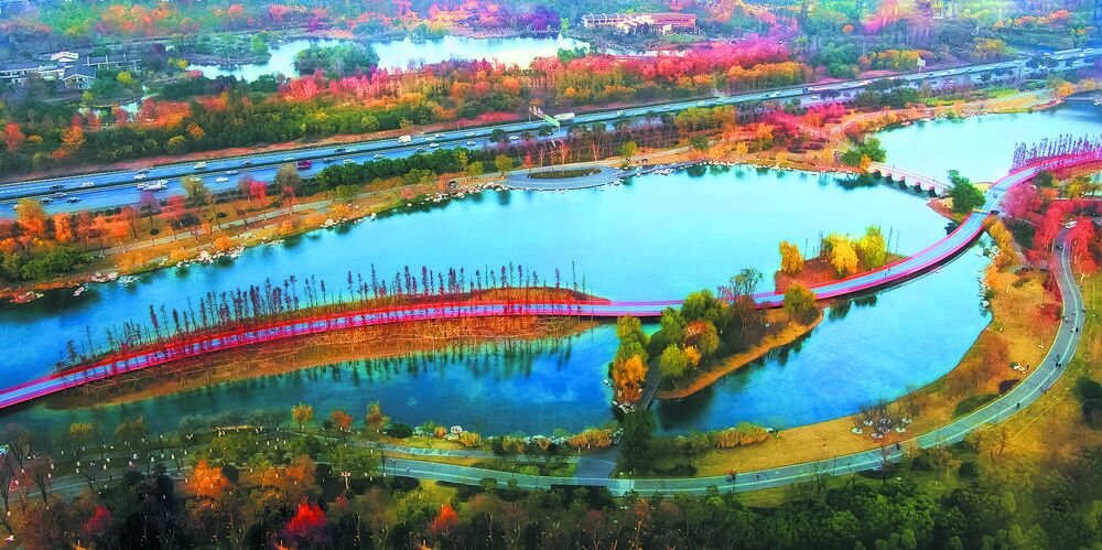 改革开放40年成都加快构建大美公园城市形态