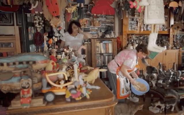 去土耳其当猫好吗,在土耳其做一只幸福的猫