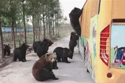 中国在斐济外交官,中国驻斐济外交官