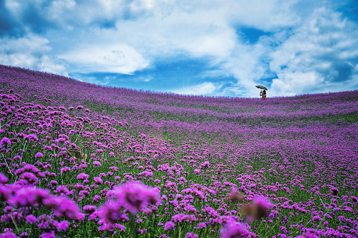 创业亏损百万的经验分享,创业6年我到底做了什么