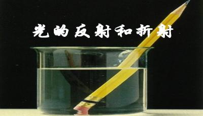 2020年中考总复习：光现象、透镜及其应用知识点总结