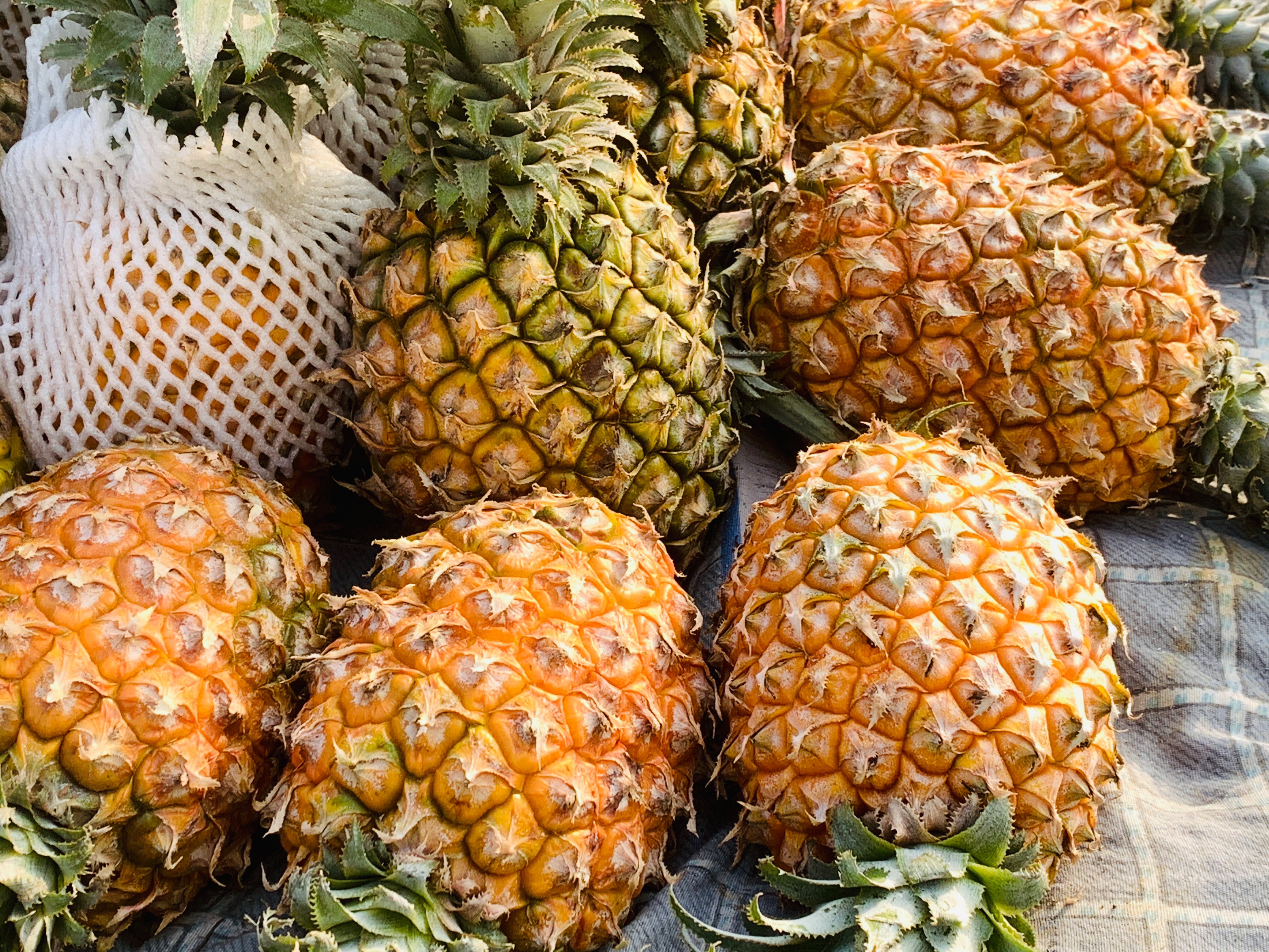 挑选菠萝什么样的又甜又好吃,怎么挑选菠萝又甜又不涩口