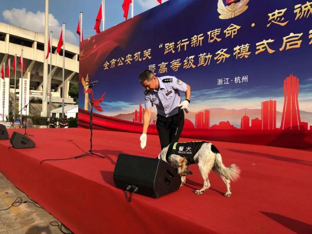 十大最著名的警犬故事,有哪些关于警犬的英勇事迹