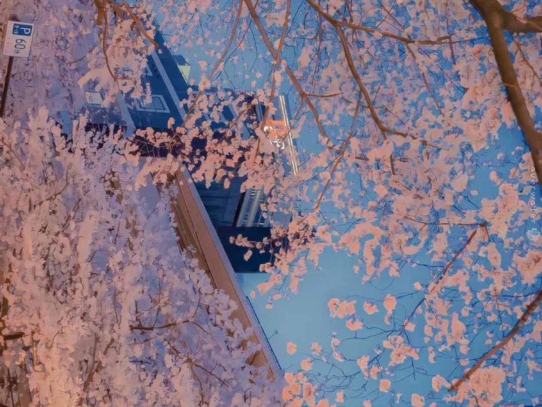 品牌古瓷,古瓷的价值