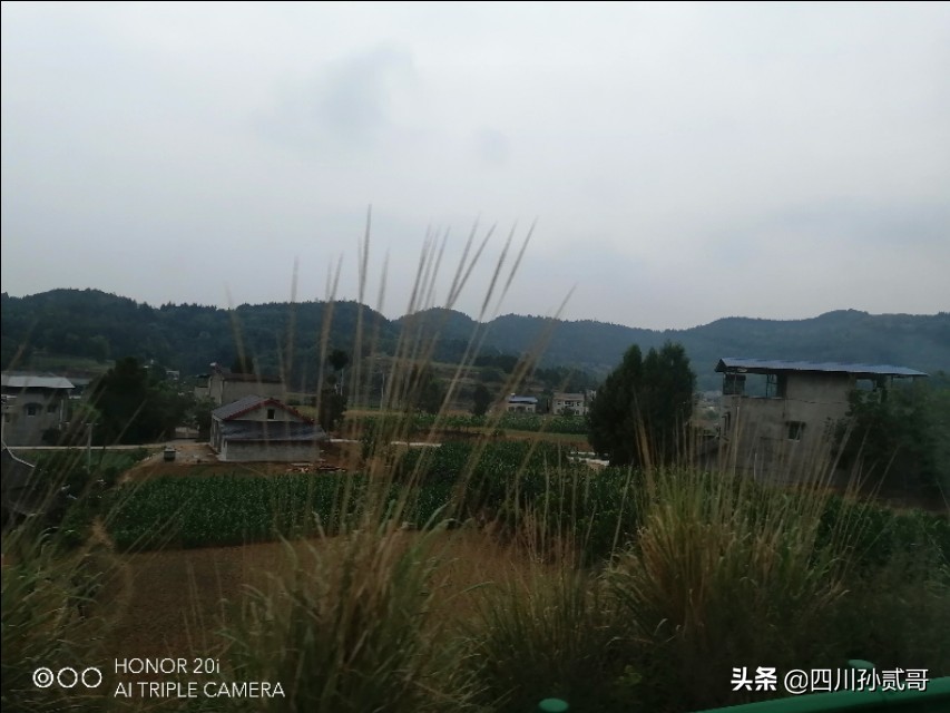 雪宝奶牛场,参观雪兰牛奶工厂心得体会