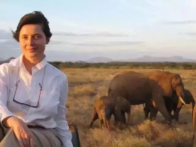 当女神变老,当女神变老了