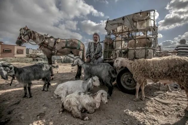 中东疫情最为严重地方,中东有没有受疫情影响