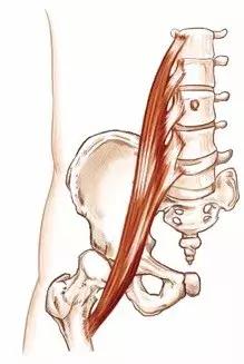 髂腰肌紧张的原因是什么,髂腰肌紧张和腰方肌紧张