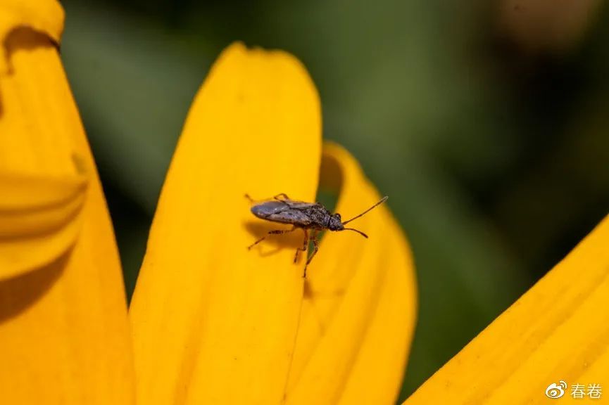一镜多用的视频,一镜多用镜头