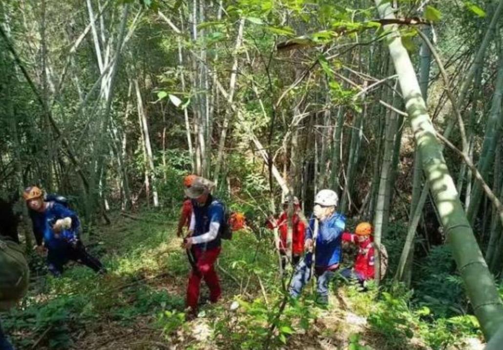 掏野生杀人蜂被蛰,一男子抓毒蜂泡酒死亡