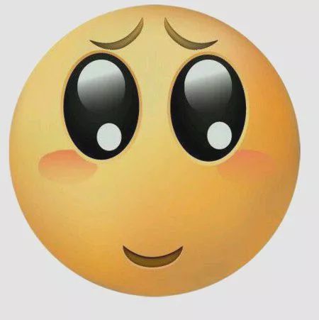 椤圭洰涓撳璇勫鐐硅瘎璇濇湳,椤圭洰璺紨涓撳鐐硅瘎瑕佺偣