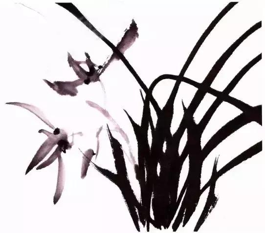 徐湛国画兰花的画法,徐湛国画兰花的画法视频教学