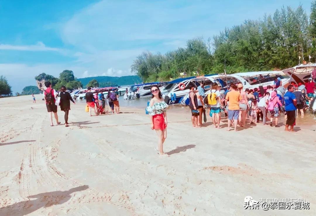 飞去热带的岛屿游泳,飞去热带的岛屿潜水