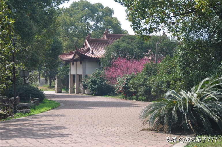 重游天一度假村,重游旧地去哪玩