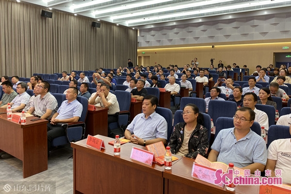 国医大师石学敏工作室,国医大师石学敏中央台