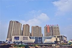 河南省城建税减半政策,洛阳的城建在河南省怎么样