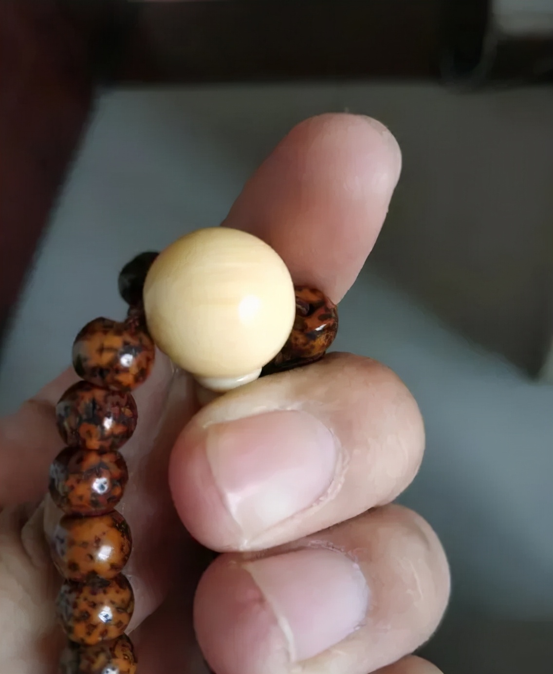 星月菩提阴皮是什么意思,星月菩提的阴皮怎么形成的