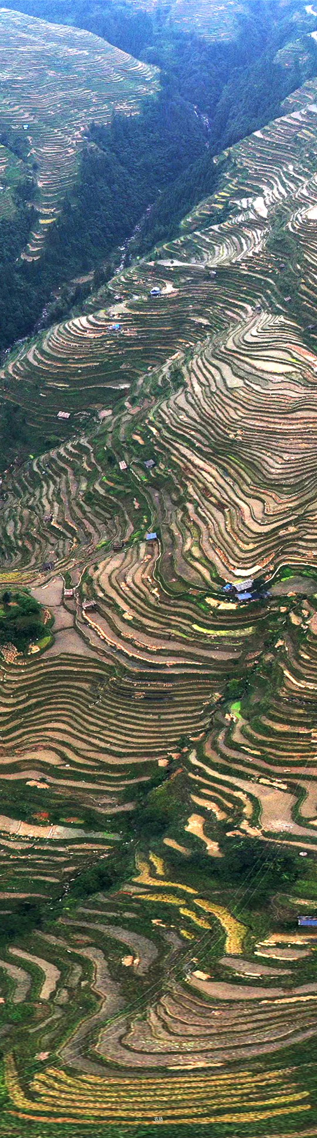 农造田野丨总有一根神经通往乡野|月亮山百里梯田