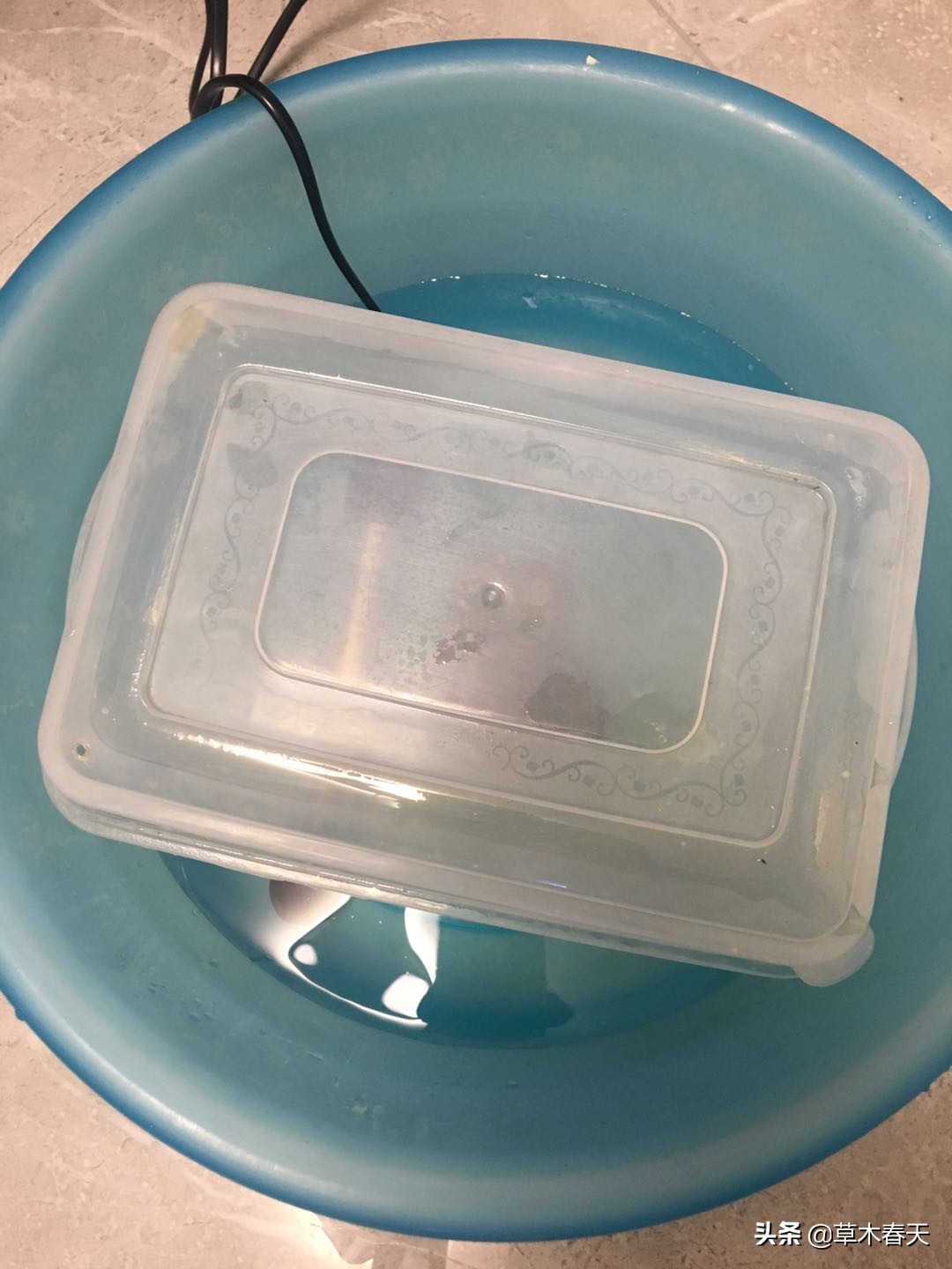 怎么治理乌龟腐皮,如何治乌龟腐皮不花钱