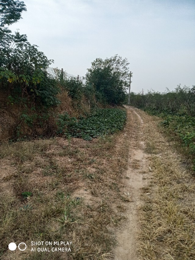 难忘的乡愁老家的味道,难忘的农村老家图片