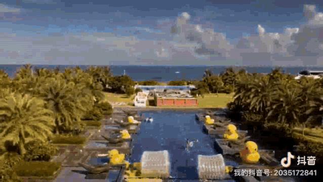 2019GE暑期管培实习生生存实录