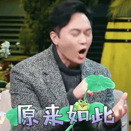 欧舒丹蜡菊紧致精华露,欧舒丹蜡菊赋颜精华露