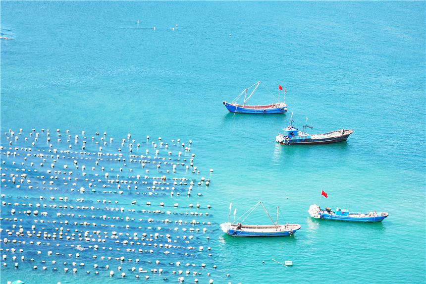 嵊泗美食推荐攻略,嵊泗列岛旅游攻略美食