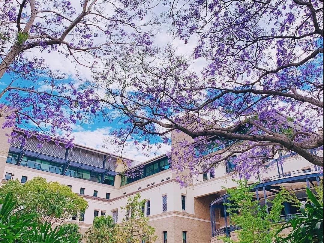 澳洲大学新南威尔士大学,新南威尔士大学相当国内什么大学