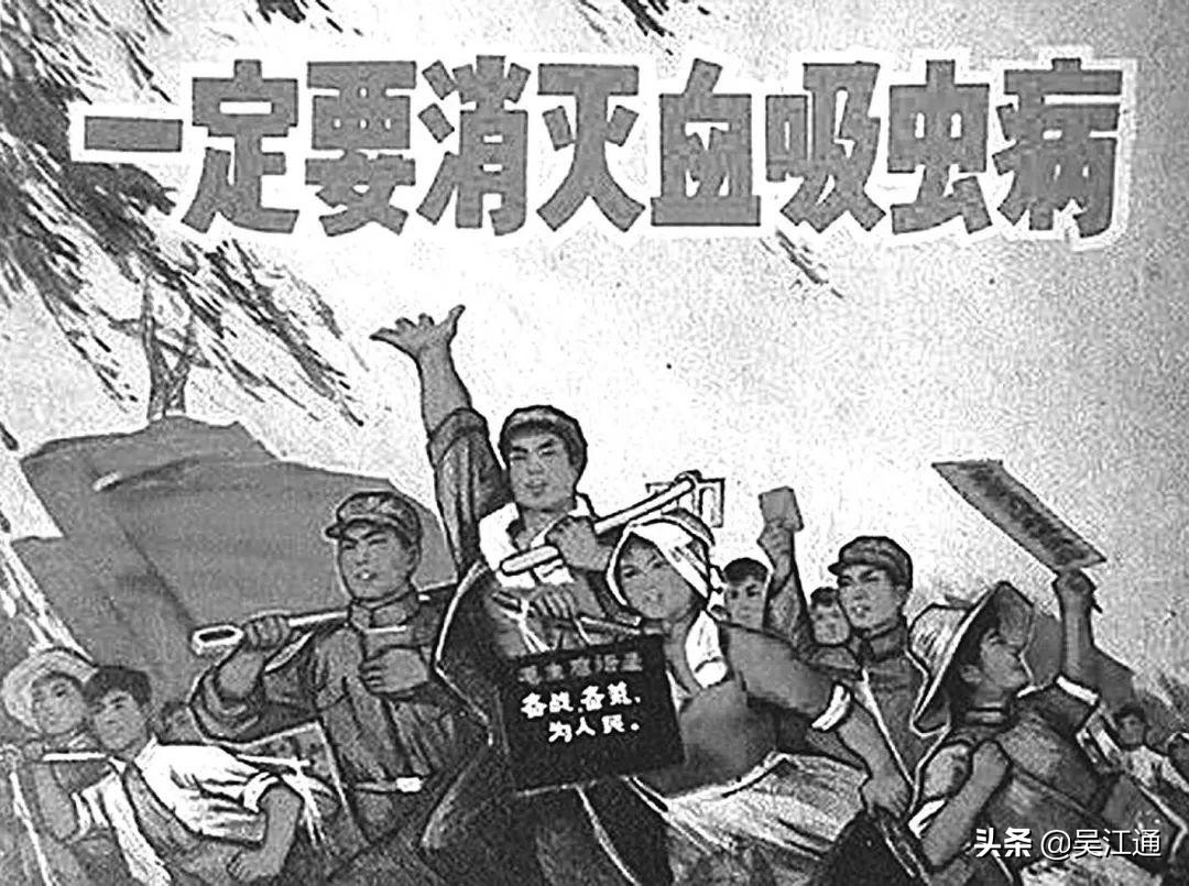 我经历“送瘟神”的时光