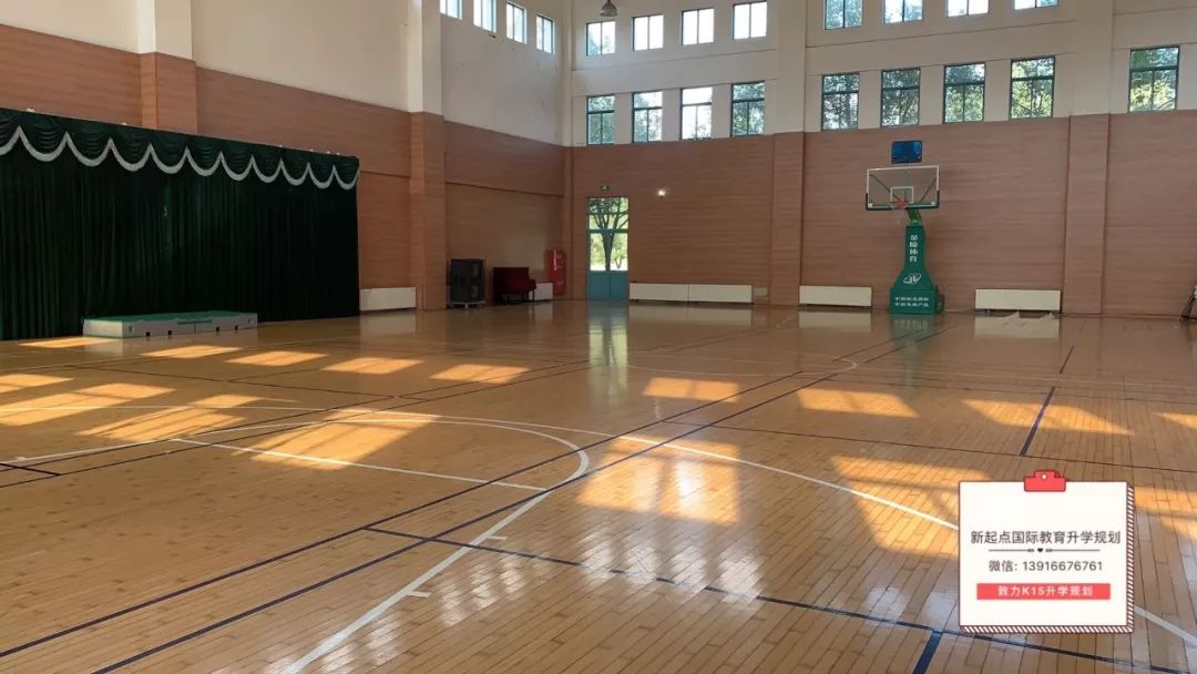 上海宋庆龄国际学校高中开设课程,国际教育探校