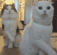 看我飞车特技,哦噢.......搞笑动图集合