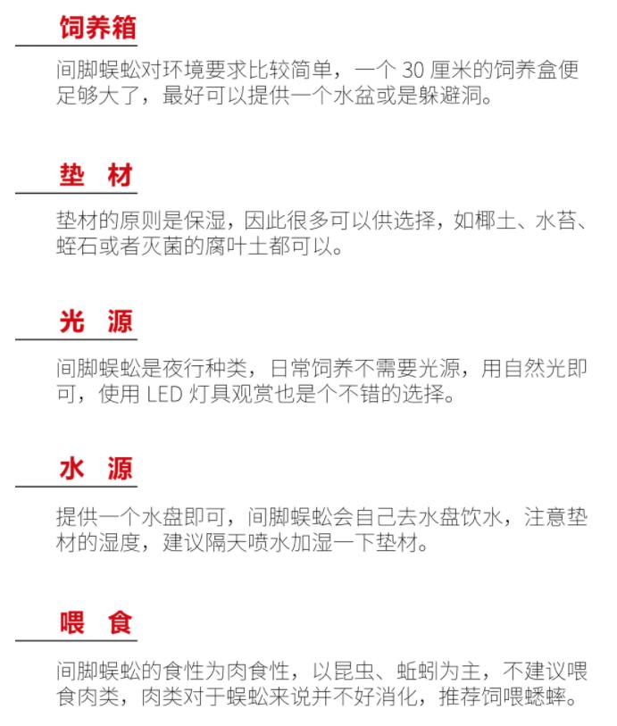 间角蜈蚣幼年,间脚蜈蚣习性