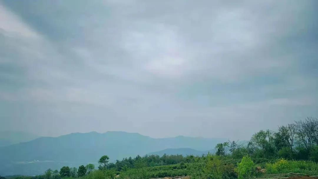 小李阿姨视频,小李阿姨生活视频