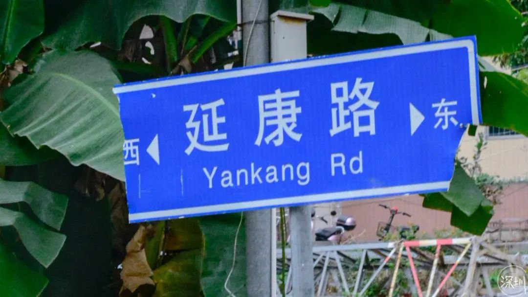 固戍怎么样,固戍为什么这么强