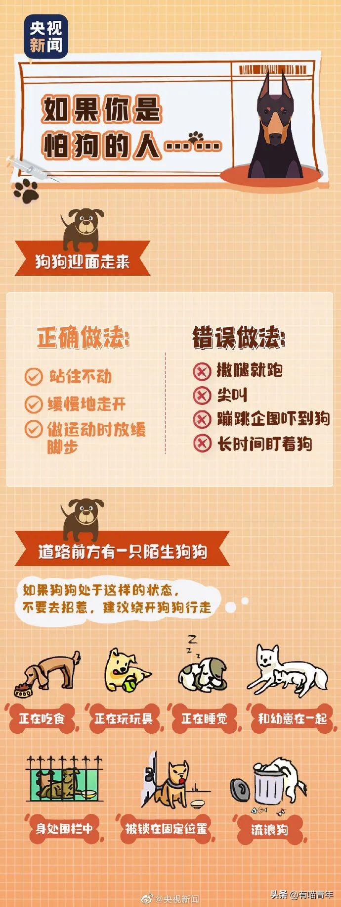 建国后有被猫抓伤得狂犬病的吗,不小心被猫抓伤了要打疫苗吗