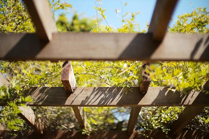 反璞归真2.0,反璞归真005