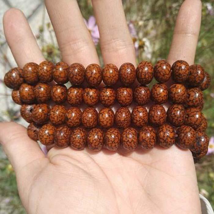 比较靠谱的星月菩提,星月菩提这4个常见误区害人不浅