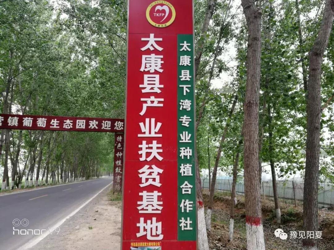 推进电子商务进乡村的工程,电子商务进农村工作推进方案