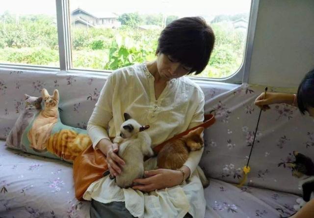 日本猫咪咖啡列车,日本火车站猫咪