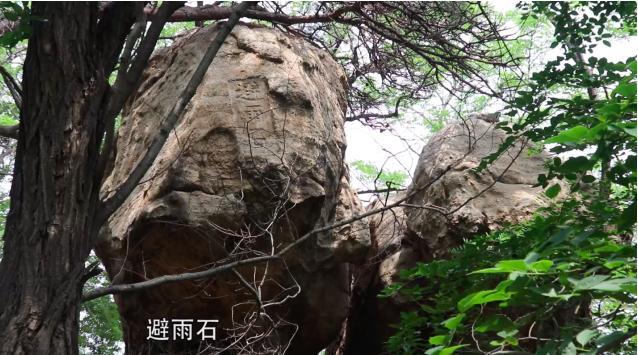 北戴河最大的森林公园,天然氧吧北戴河联峰山