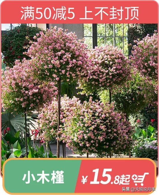 开新店买一送一活动,新店开业搞什么活动买十送十