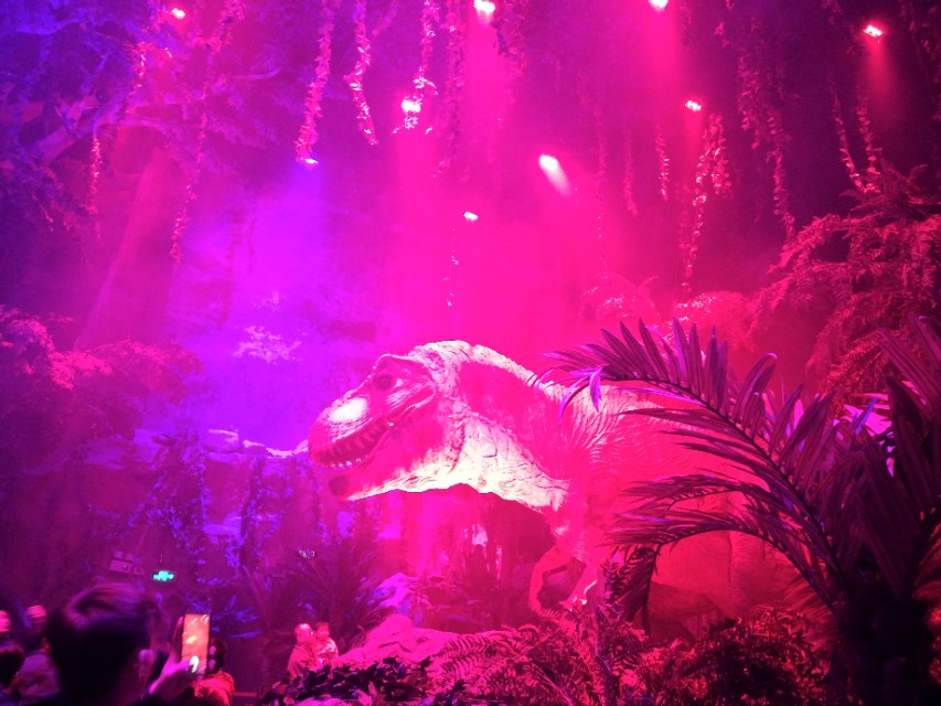 广州番禺区长隆野生动物世界缆车,广州旅游长隆野生动物世界