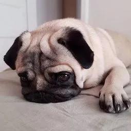 定了!9月1号开始实施!有这类车的人注意了