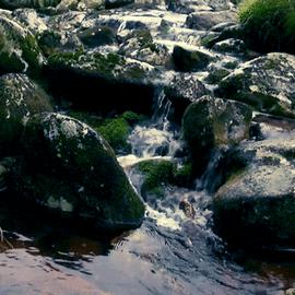猫咪到底能不能喝矿泉水,猫咪喝自来水会结石吗