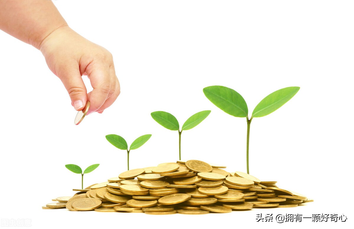 如何从股市小白进阶为投资高手,股民如何学习股票知识