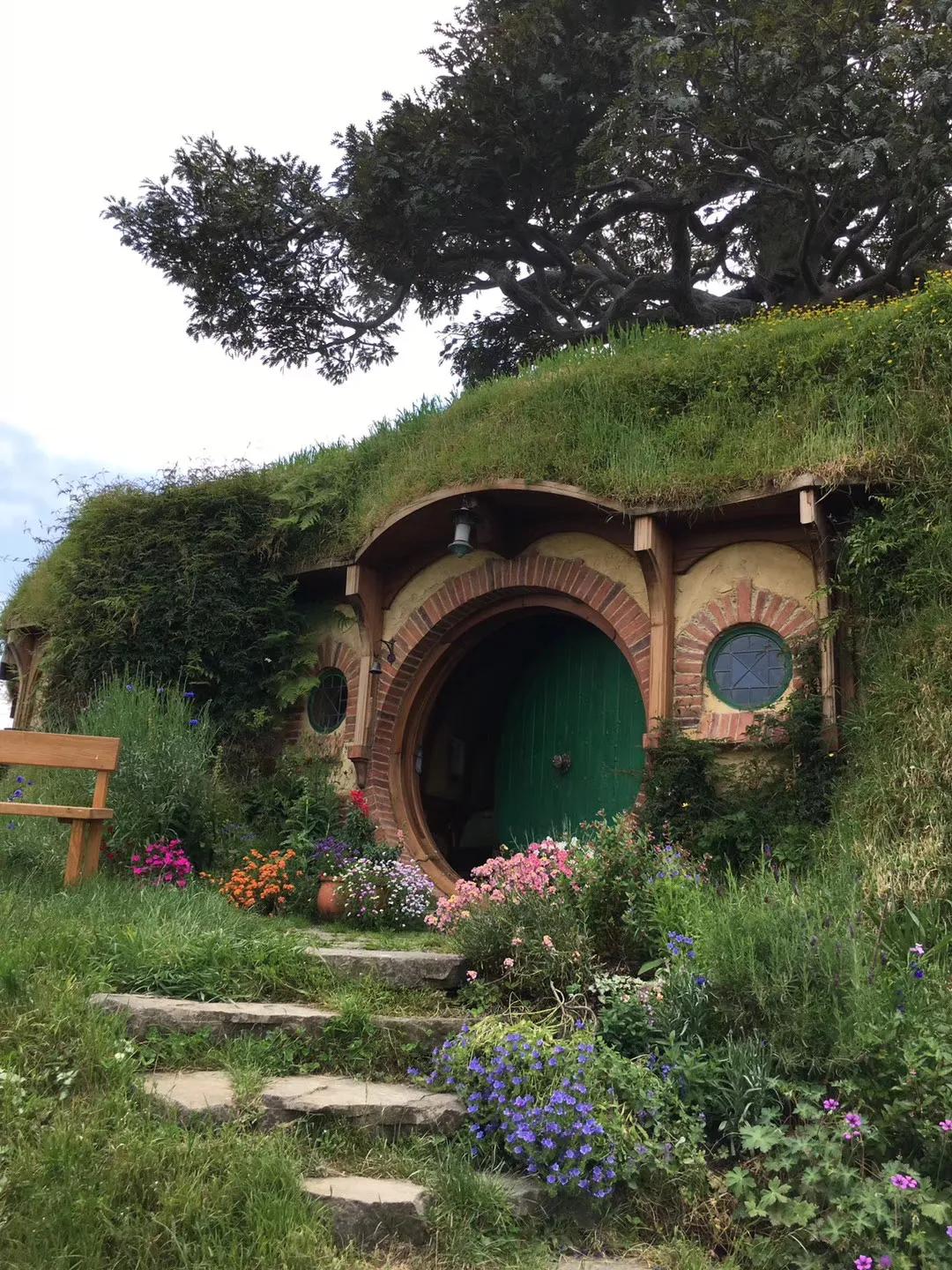 记忆中的旅行之新西兰(北岛)