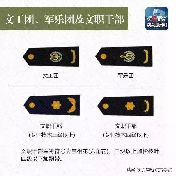 鍐涙牎鍐涜鍜岃亴浣嶅鐓у浘,鍐涙牎鍐涜鎬庝箞鍖哄垎