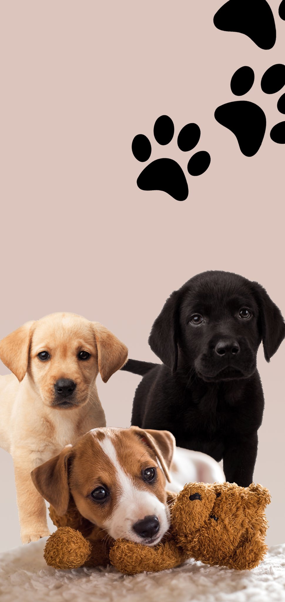 夕阳沙滩壁纸,壁纸夕阳落日图集