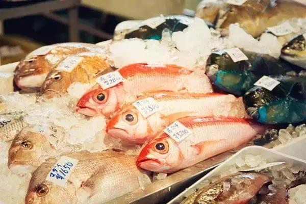 12月旅游日本冲绳最全攻略,春回大地旅游攻略